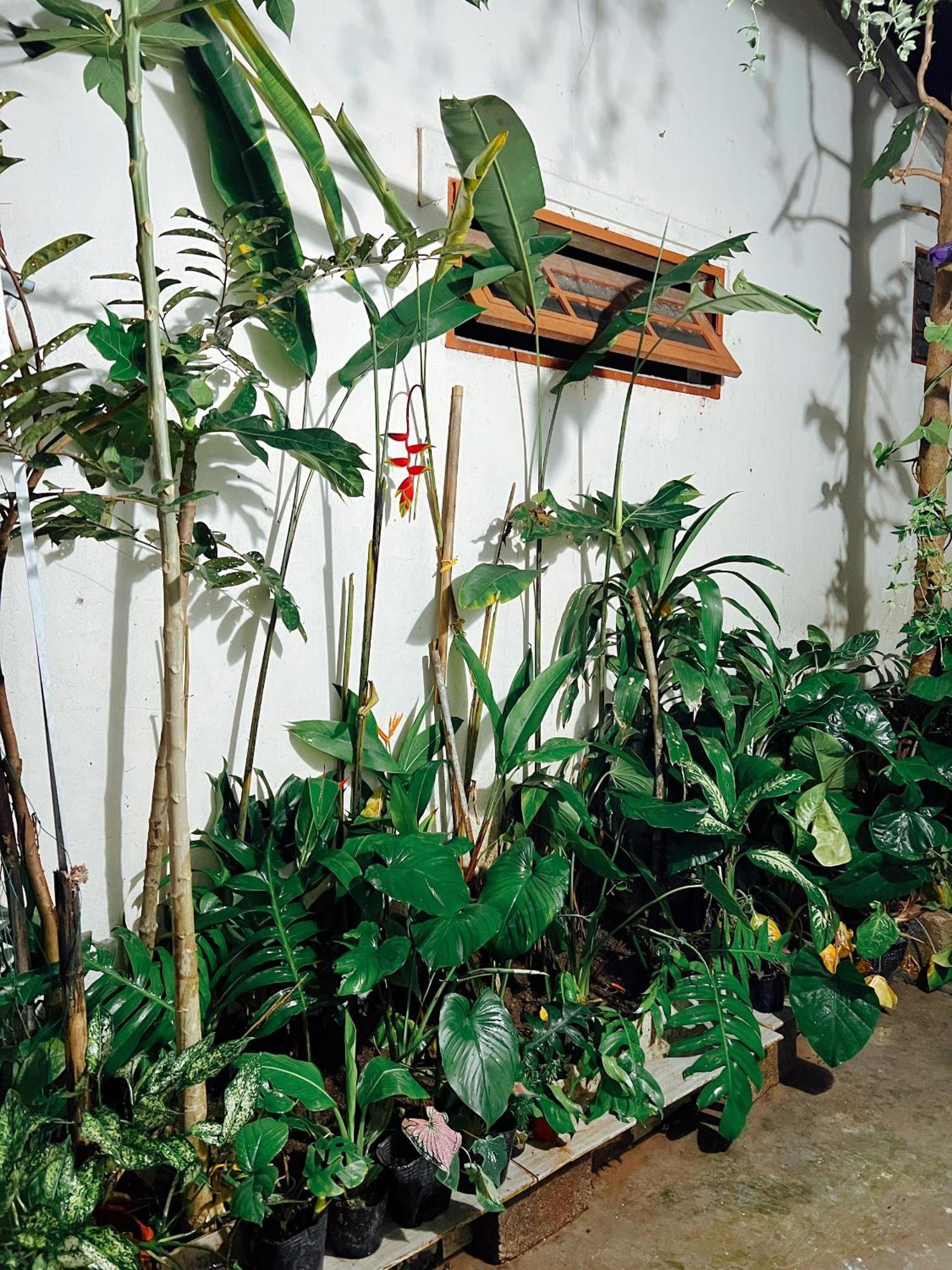 The Hue Homestay Extérieur photo