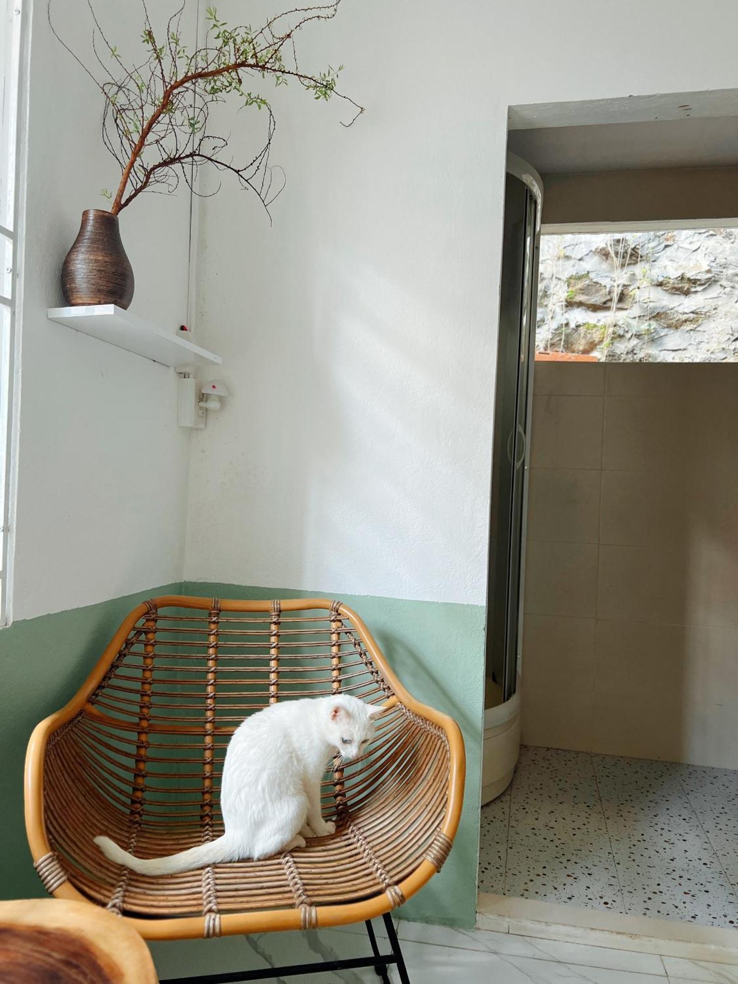 The Hue Homestay Extérieur photo